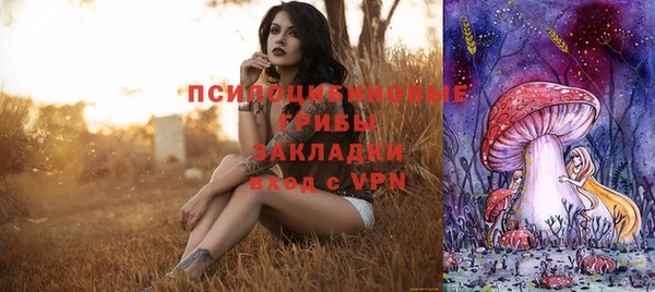 соль курить ск Алексеевка