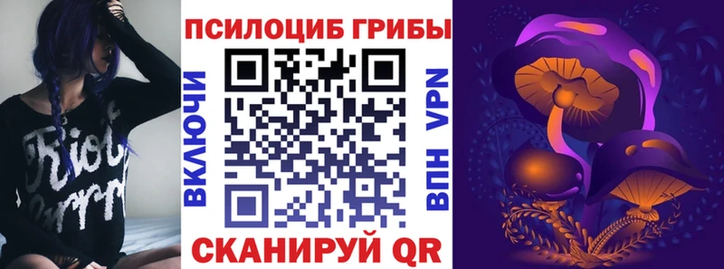 Псилоцибиновые грибы ЛСД закладки Алатырь